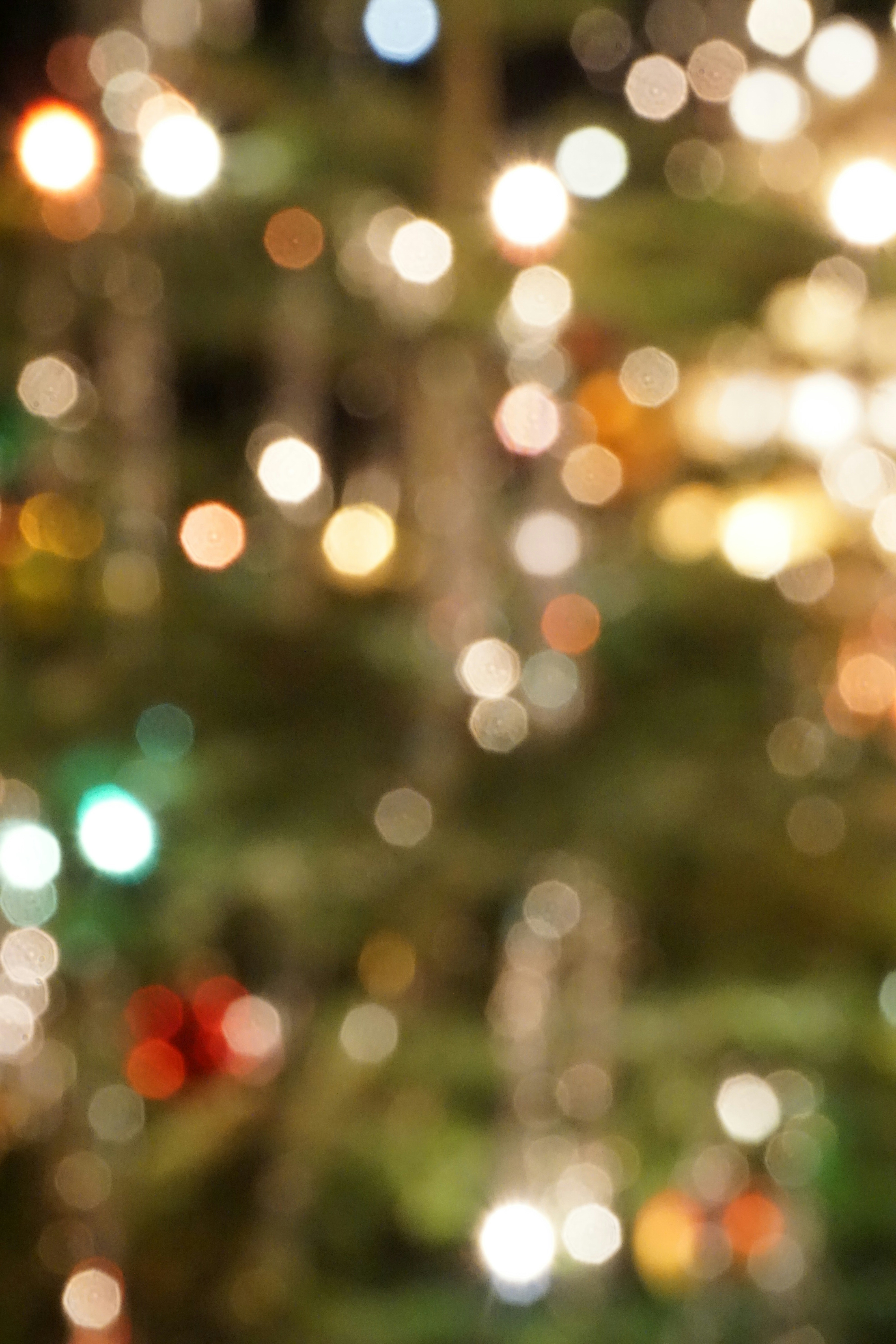 Photo by andreas_haubold