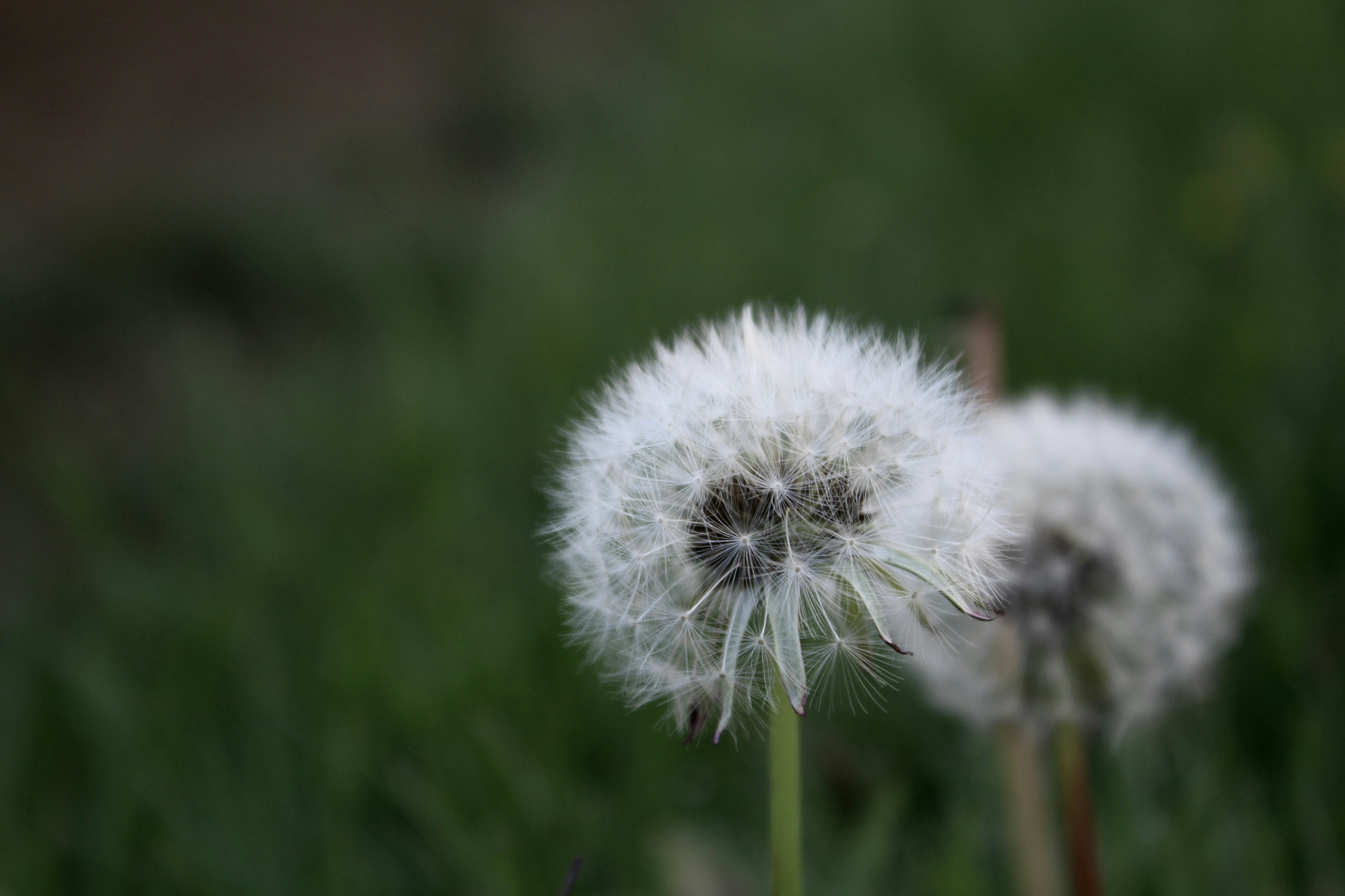 Photo by julia_fiander