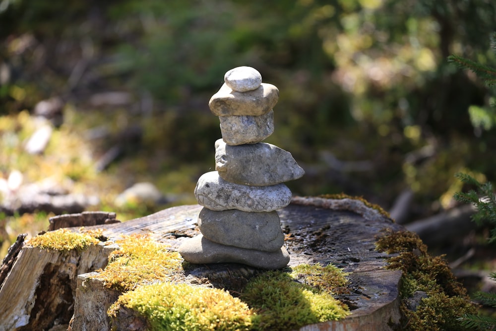 a stack of rocks sitting on top of a tree stump