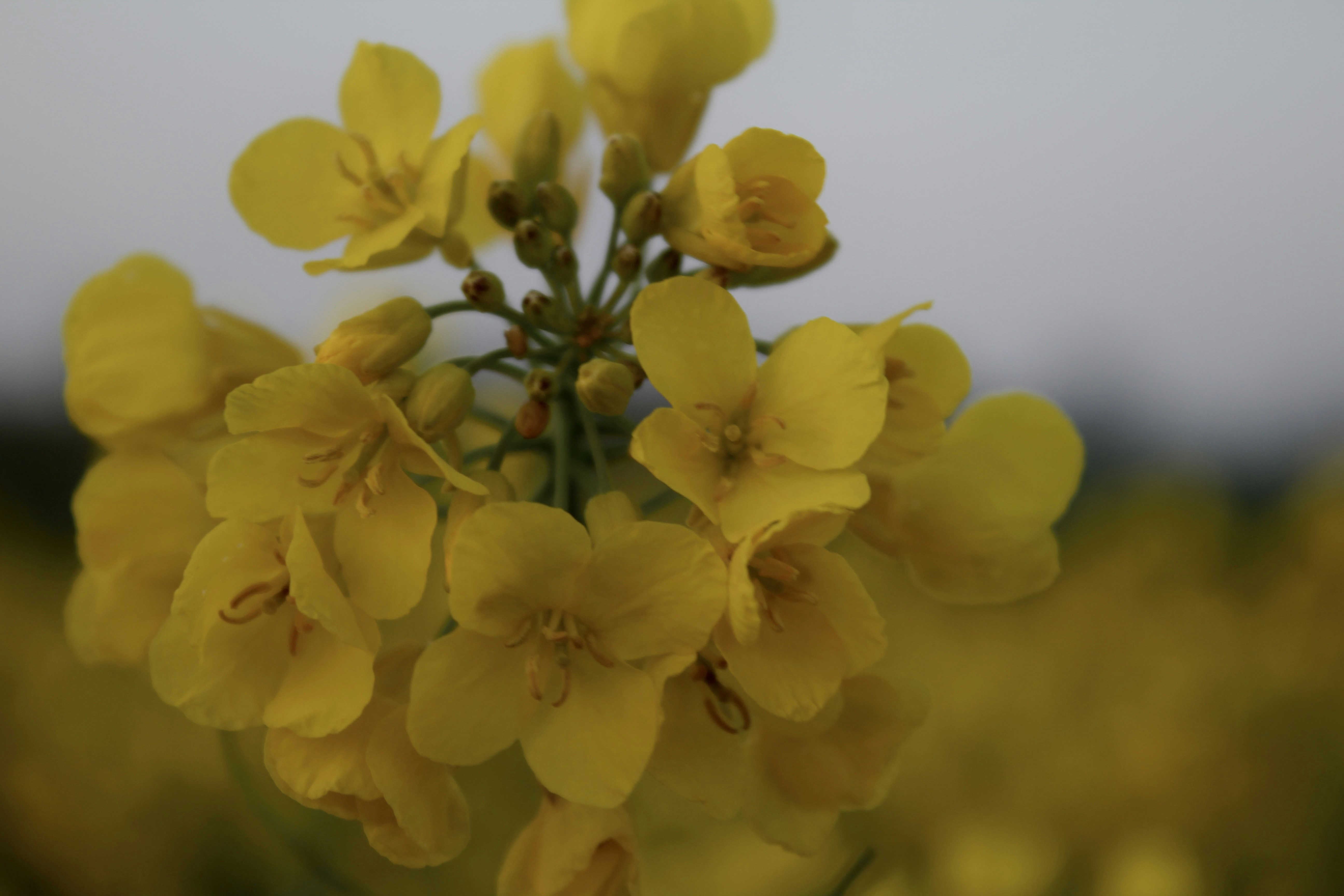 Photo by julia_fiander