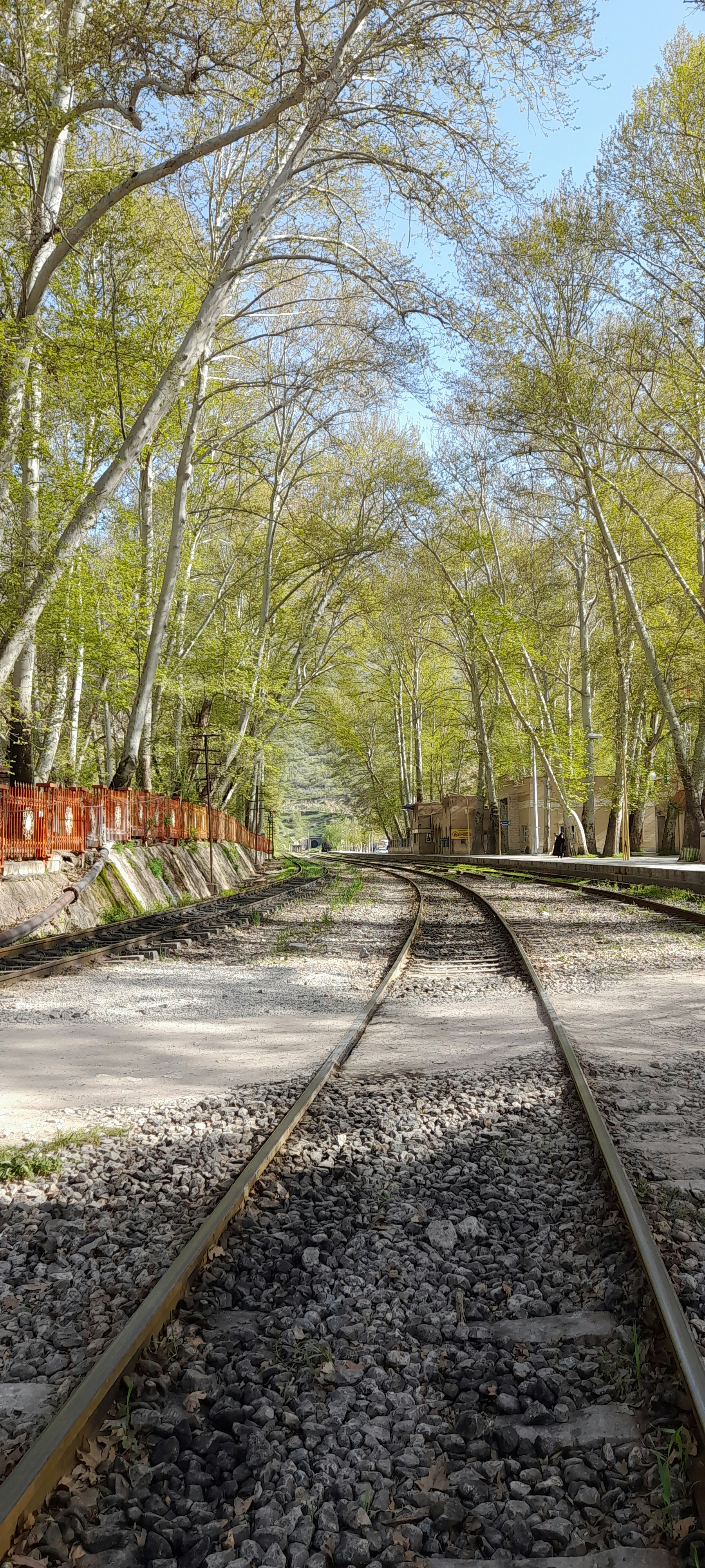 Photo by space_lover