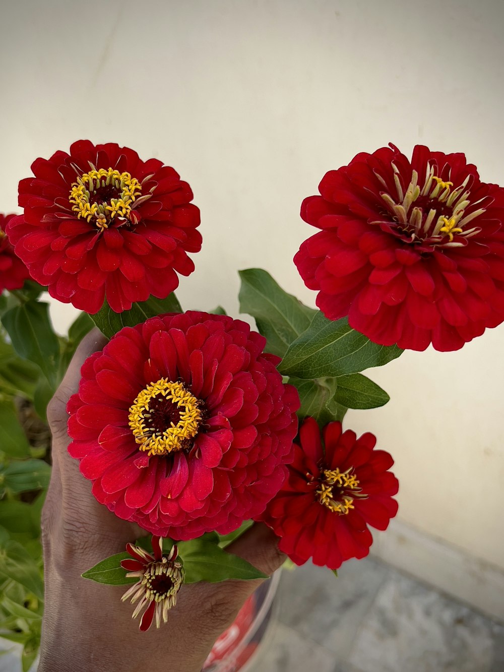 eine Hand, die einen Strauß roter Blumen hält