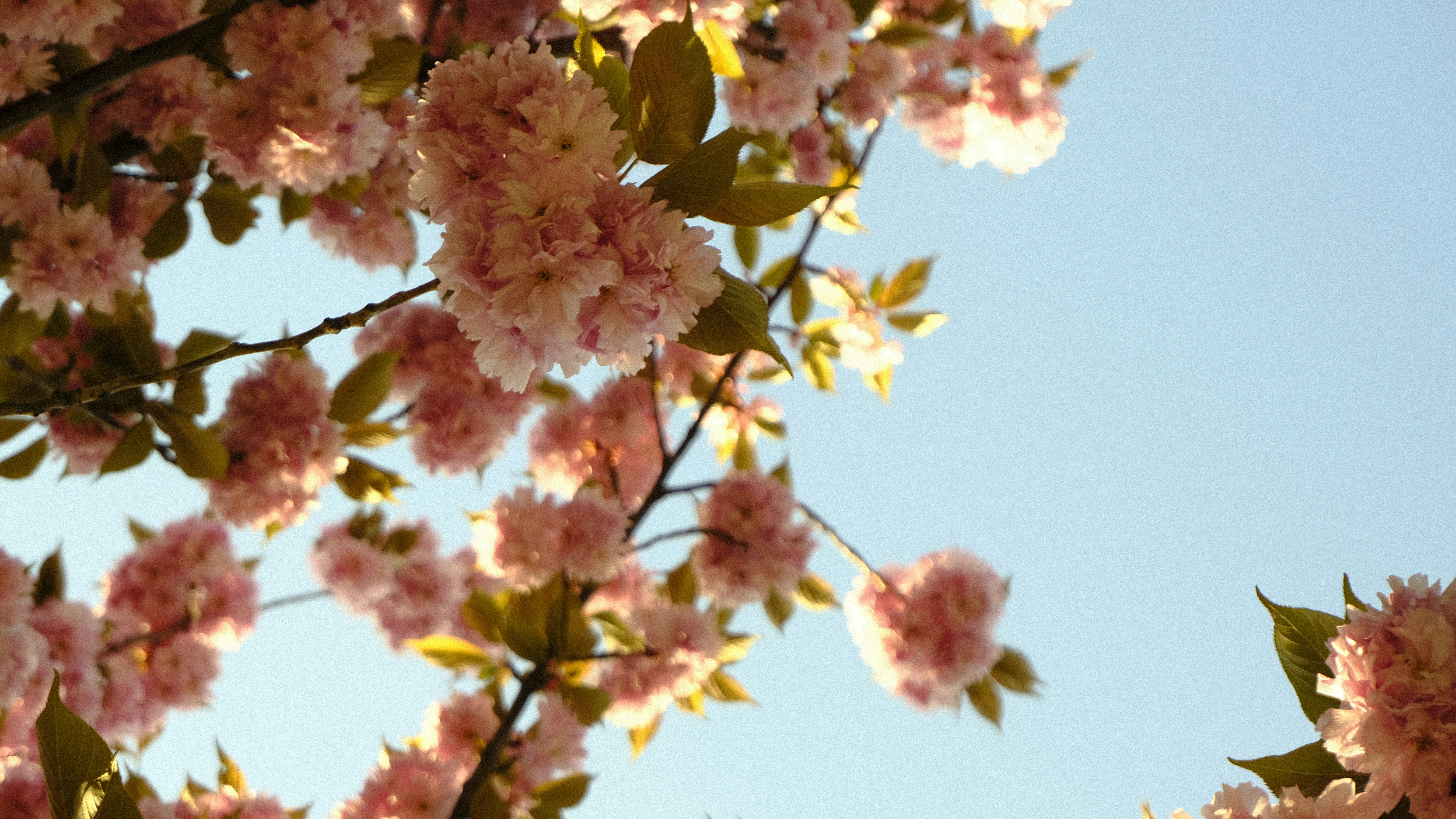 Photo by kmondschein