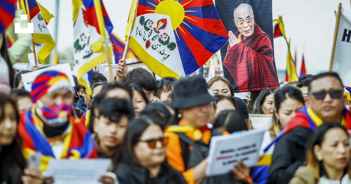 A large group of people holding flags and signs photo – Free Compassion ...
