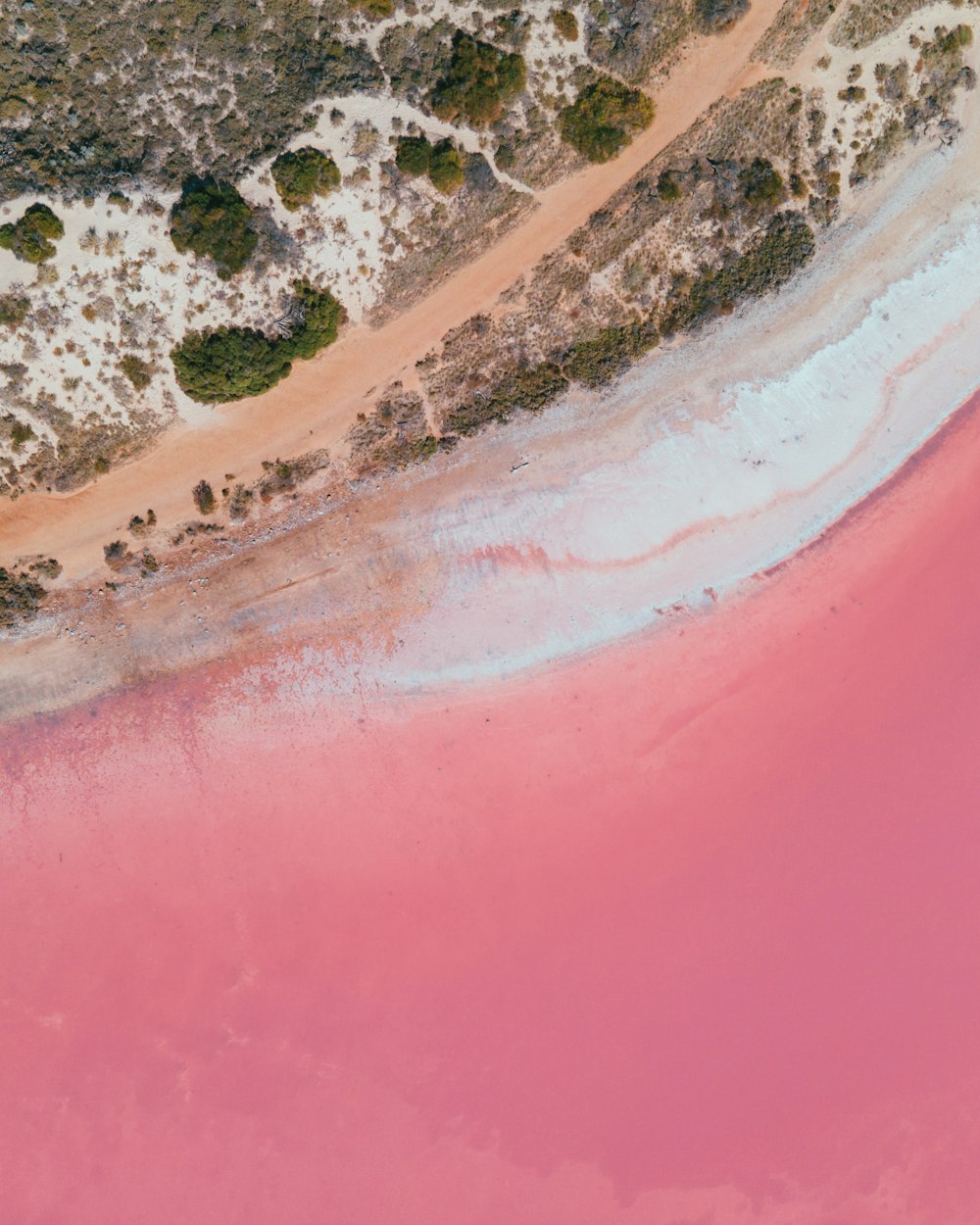 an aerial view of a pink lake in australia