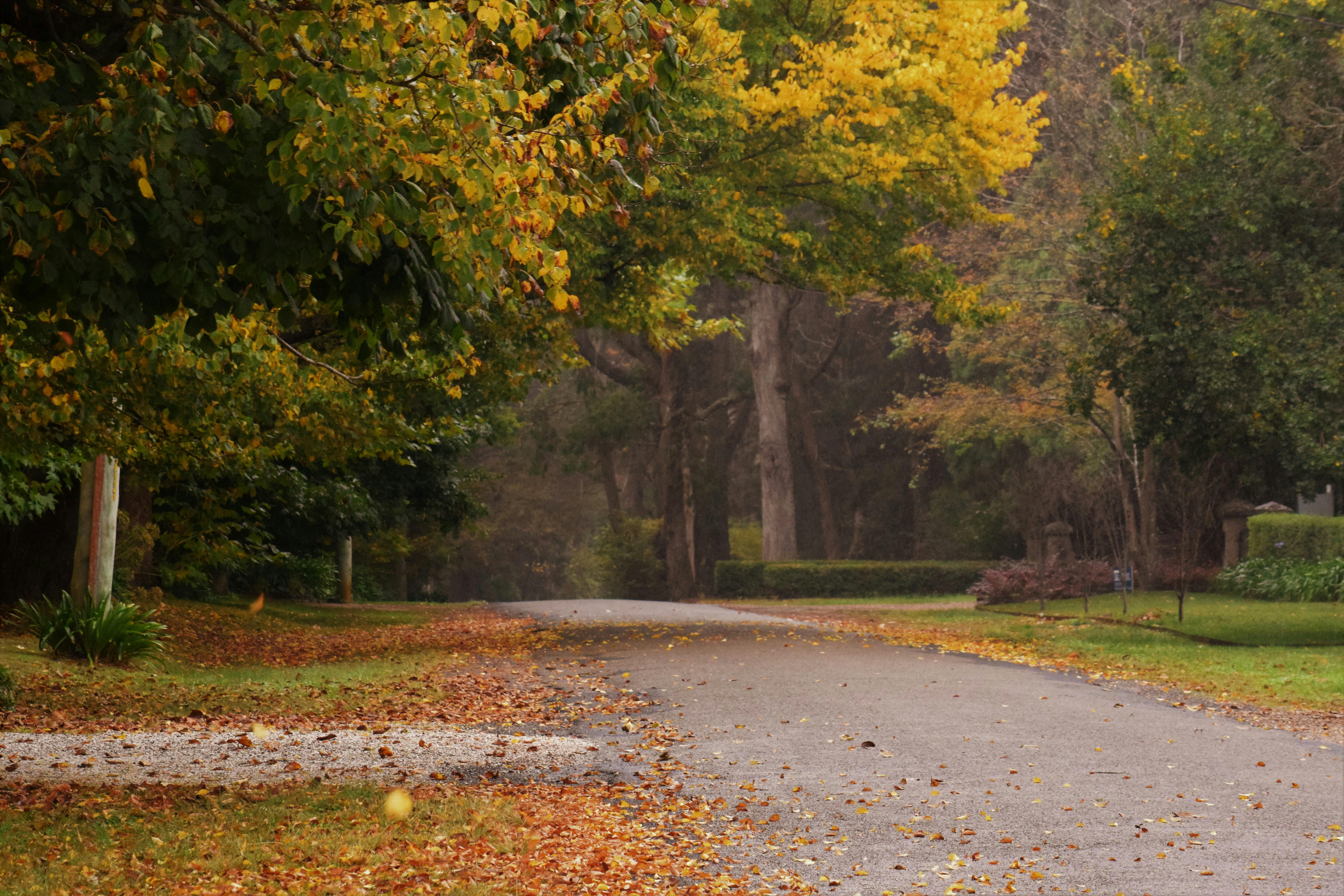 Photo by ch_photography