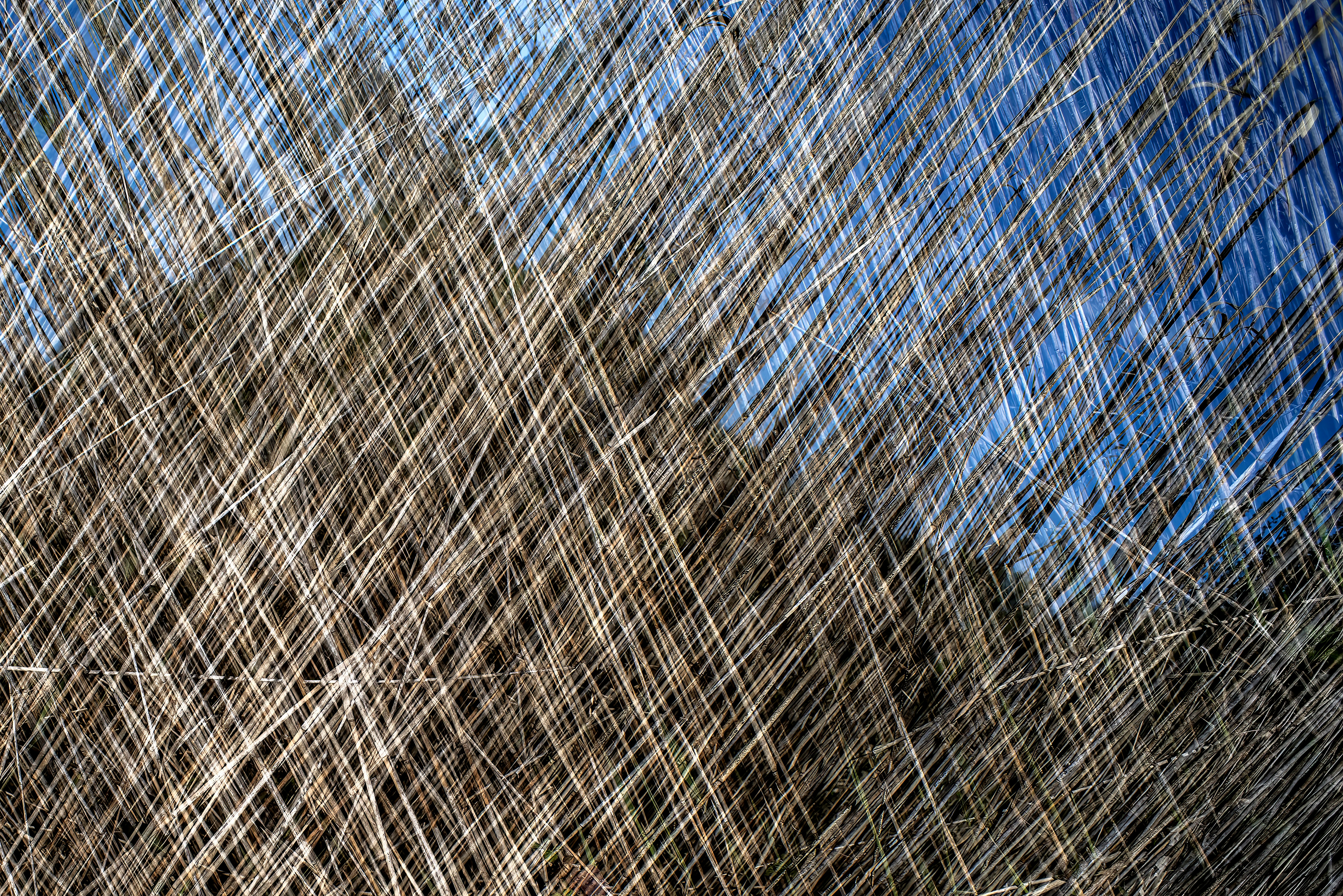 Photo by switch_dtp_fotografie