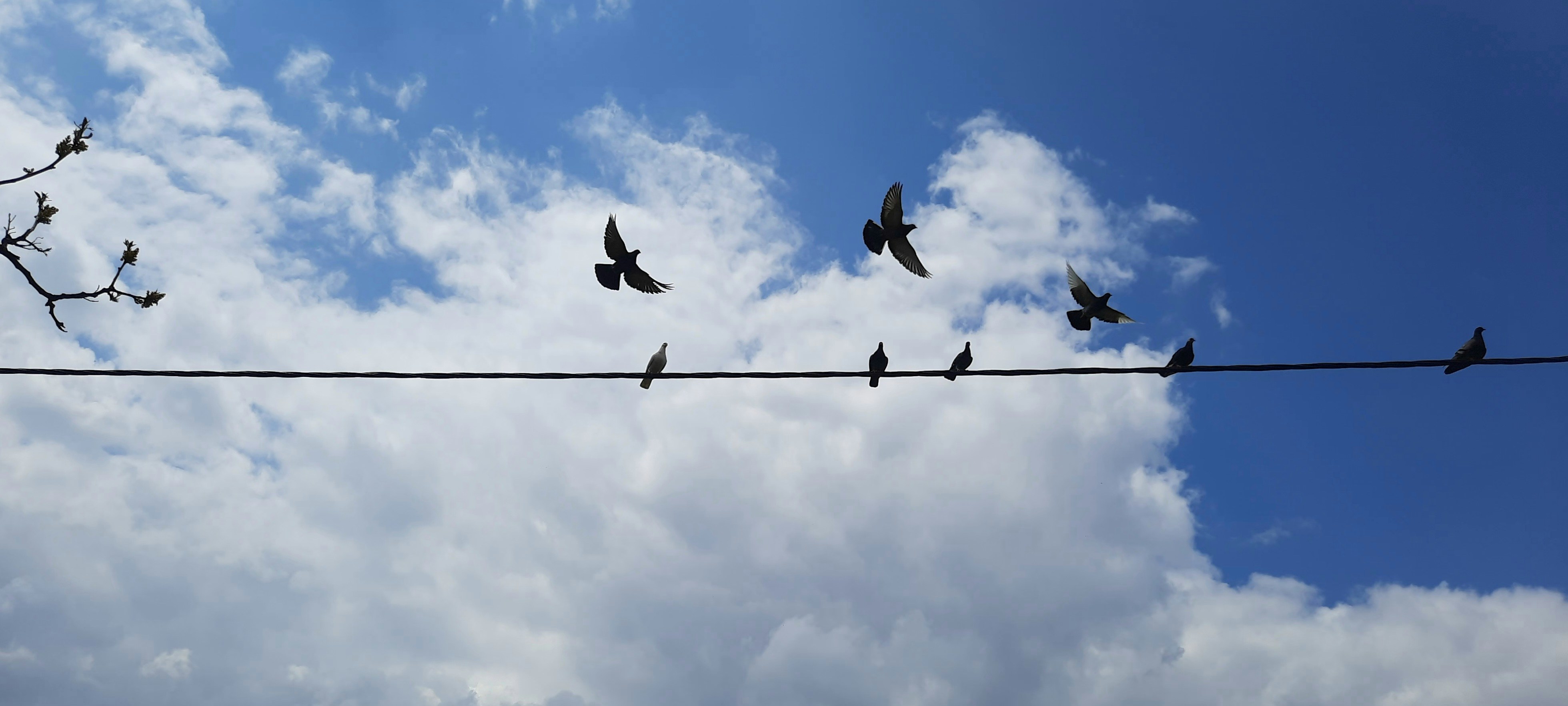 Photo by genny_taylor