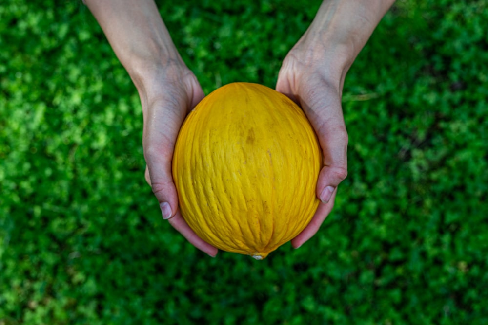 a person holding a yellow fruit in their hands