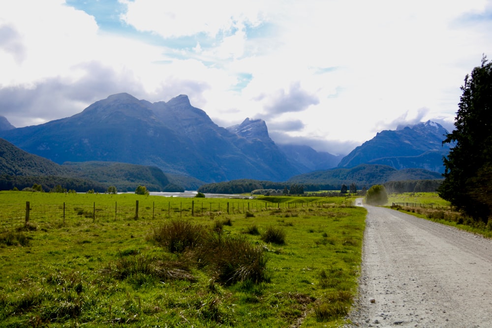 a dirt road in the middle of a grassy field