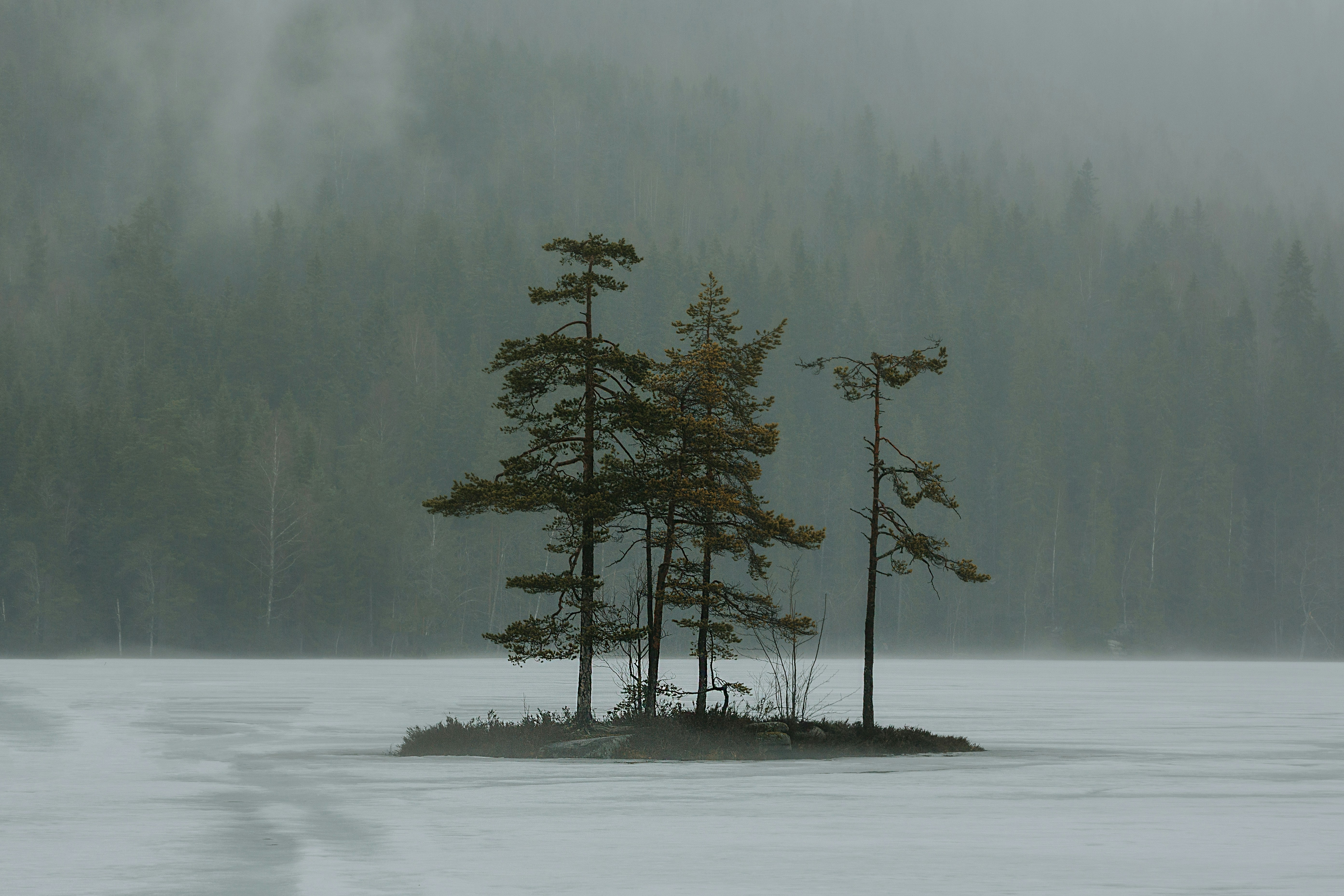 Photo by maxxna