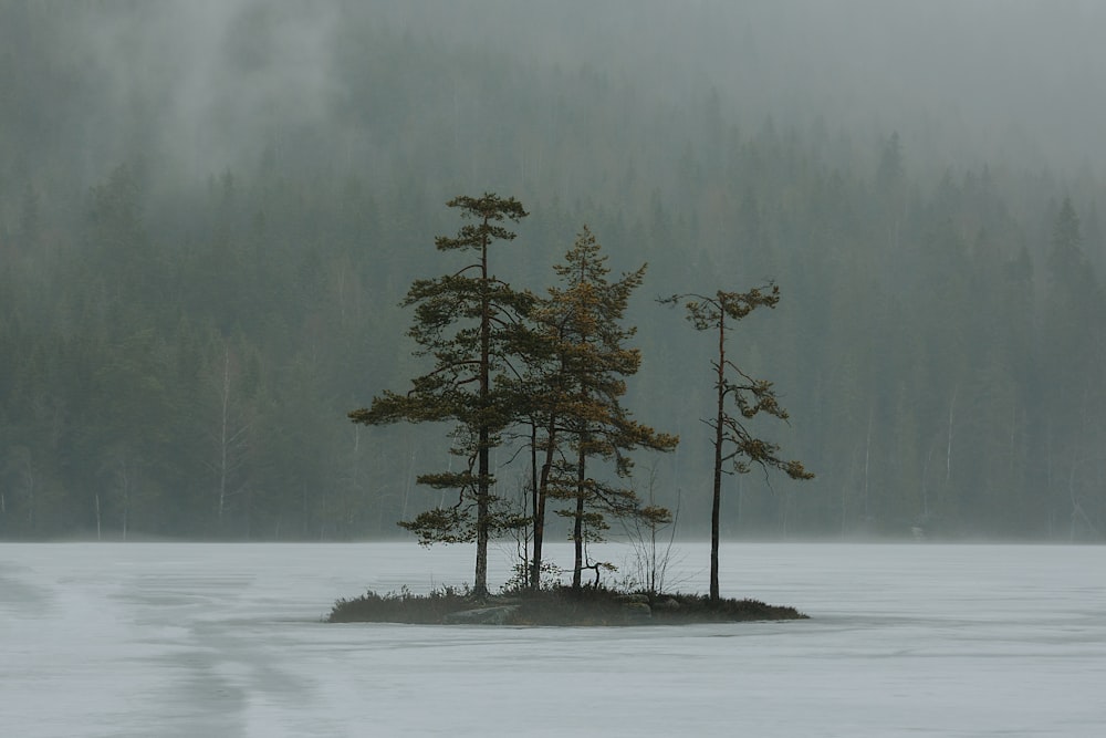 a small island in the middle of a lake