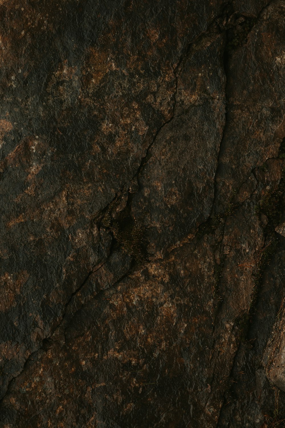 a close up of a cell phone on a rock