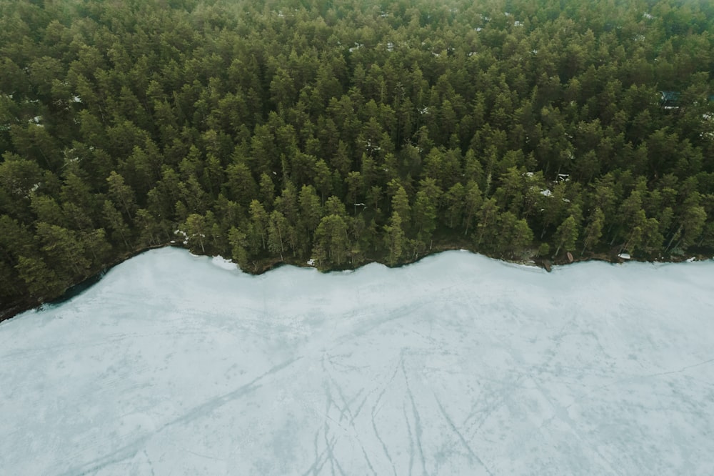 an aerial view of a snow covered forest