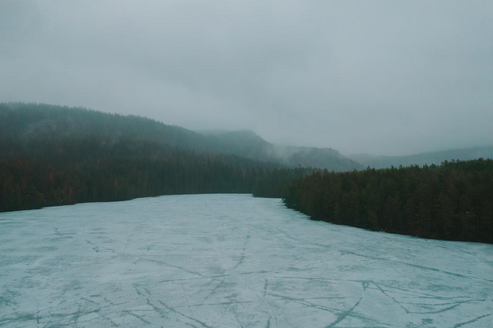 a large body of water surrounded by trees