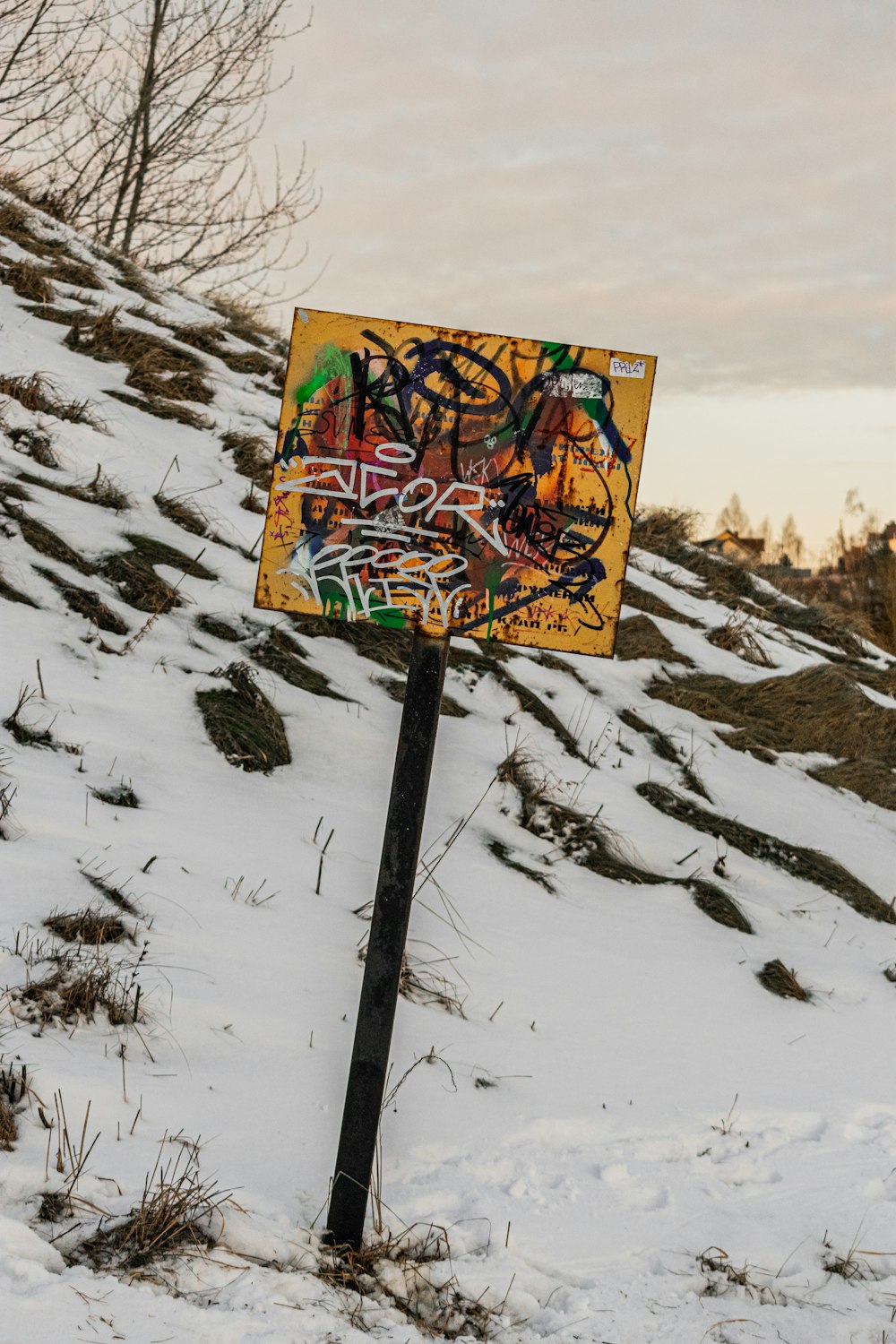 a street sign covered in graffiti sitting on top of a snow covered hill