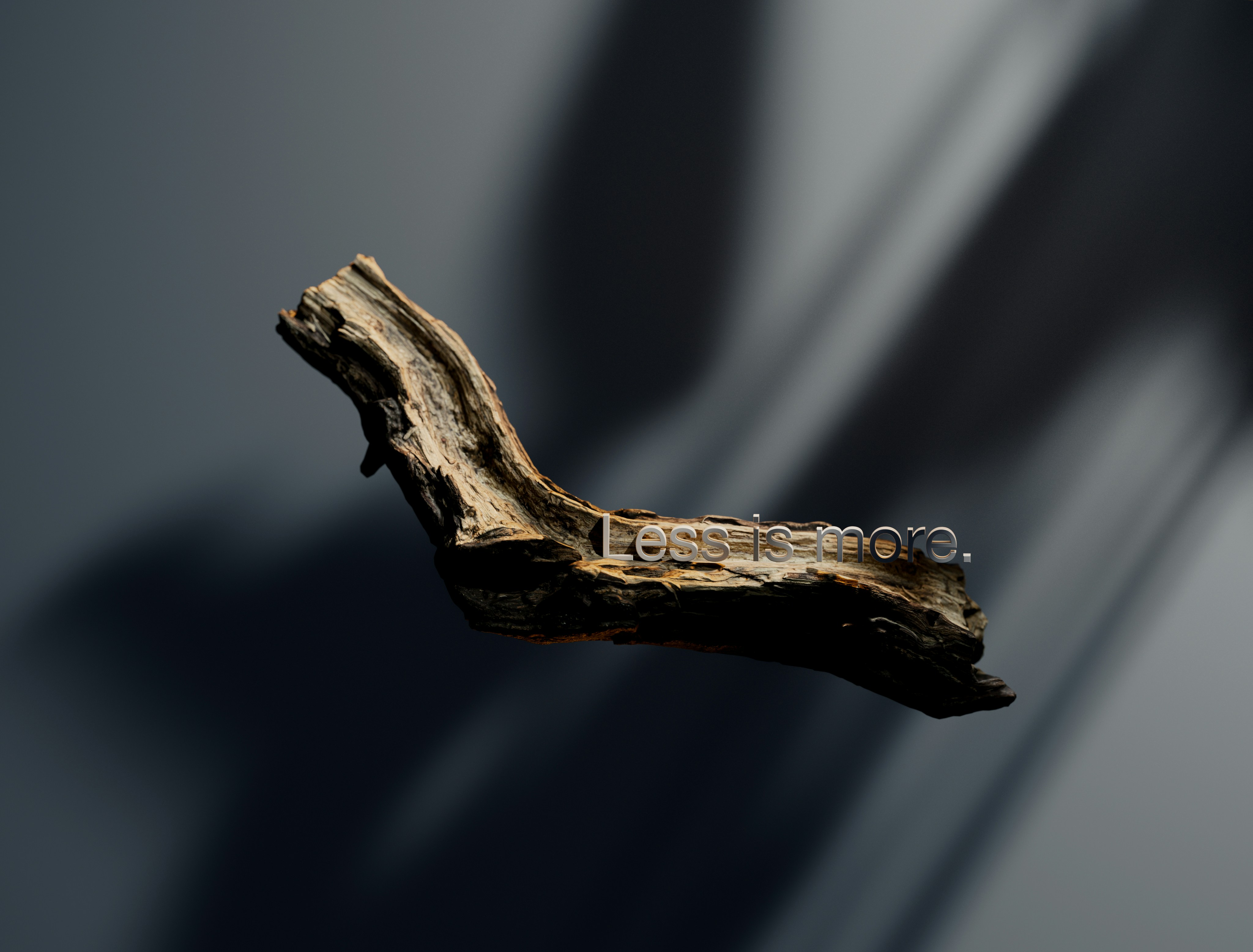 Fragment d'Os Ancien