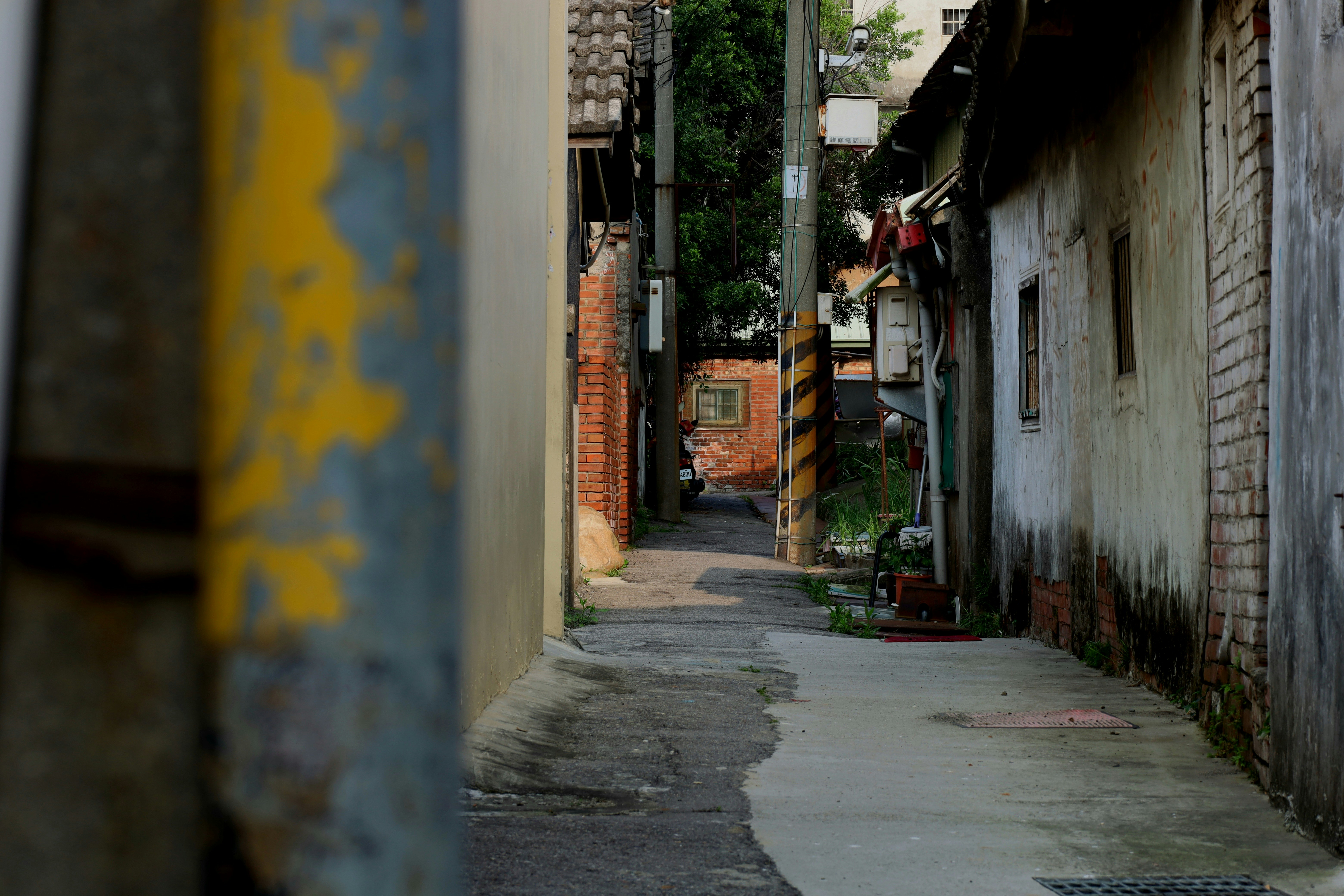 Photo by yoyocameraworld