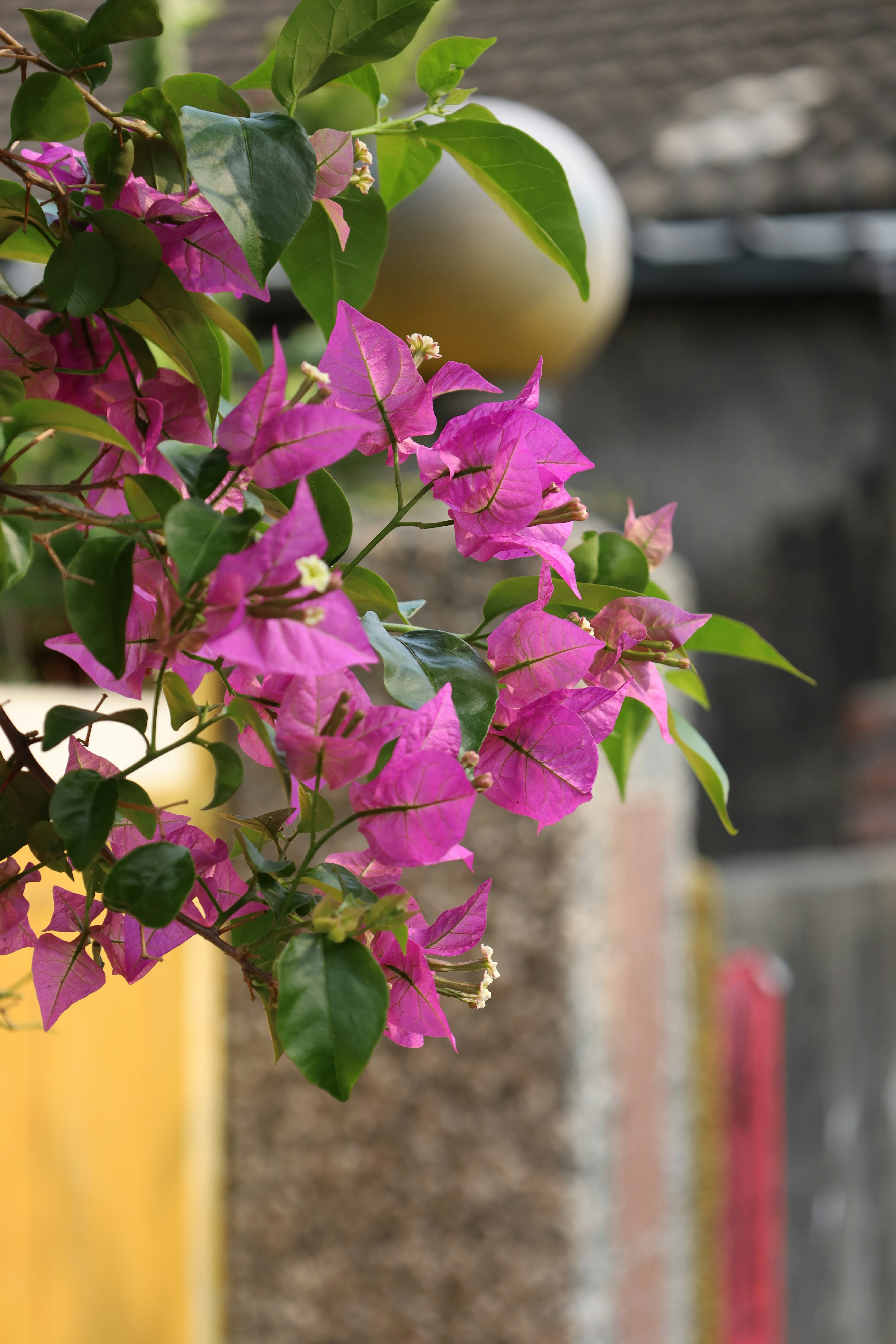 Photo by yoyocameraworld