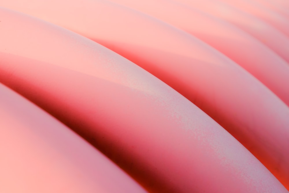 a close up of a pink object with a blurry background