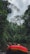 A red inflatable raft with paddles rests on the edge of a calm river surrounded by dense, lush green jungle foliage. Tall trees with a thick canopy rise into an overcast sky, creating a tranquil yet adventurous atmosphere.