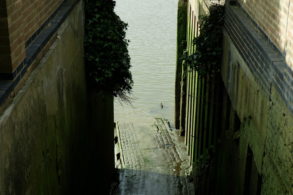 an open door leading to a body of water