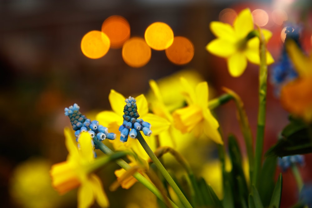 a vase filled with yellow and blue flowers