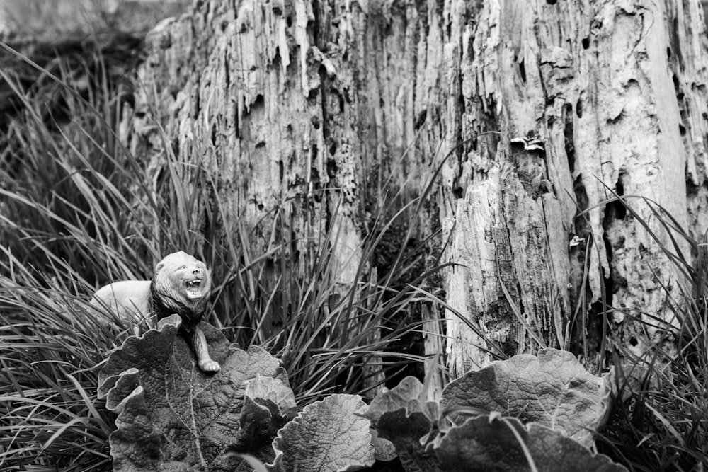 a black and white photo of a cat on a tree stump