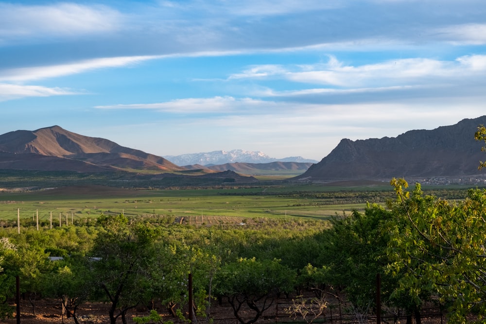 a scenic view of a valley with mountains in the background