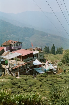 a house in the middle of a lush green hillside