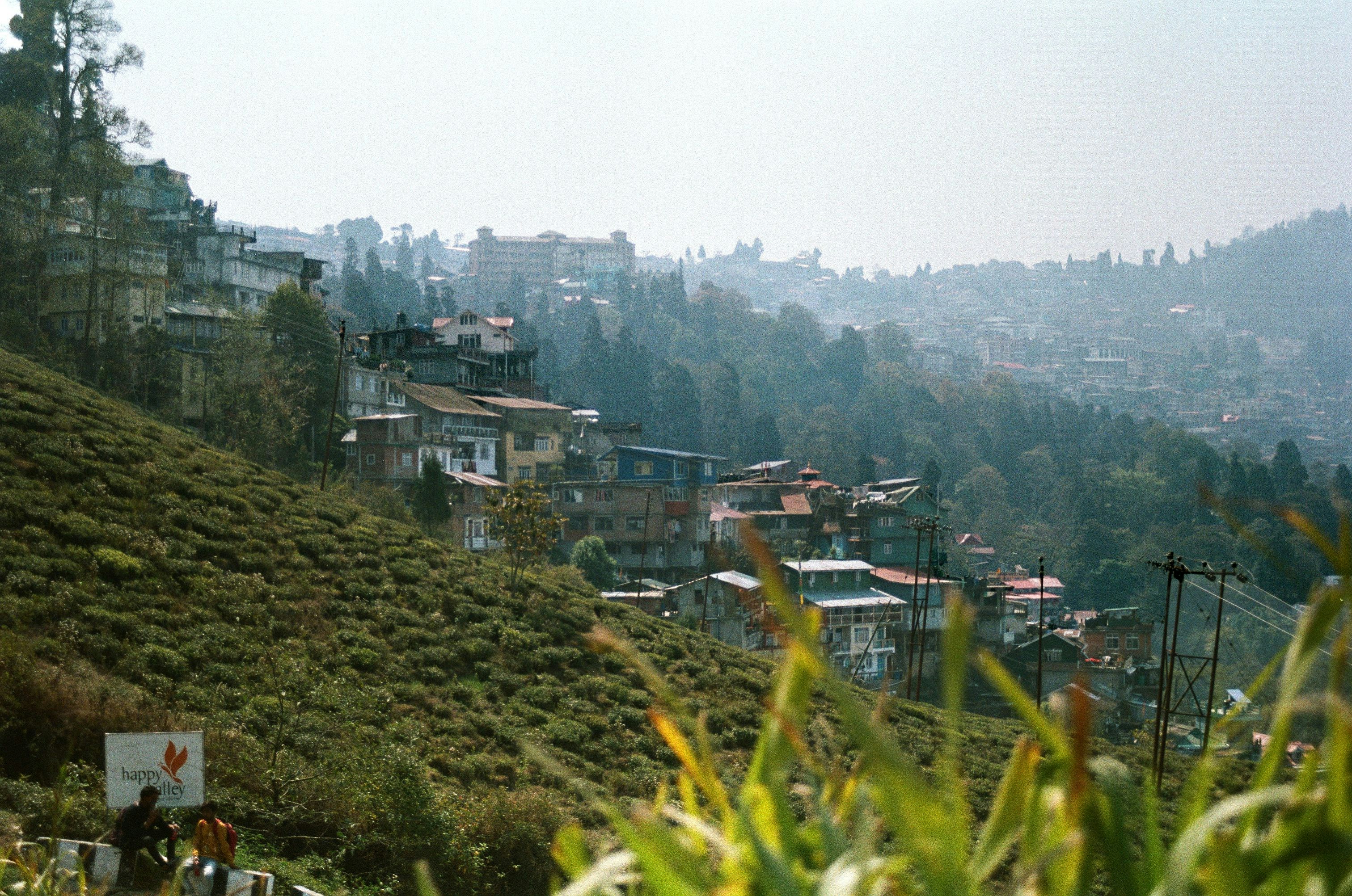 Photo by babikacharava