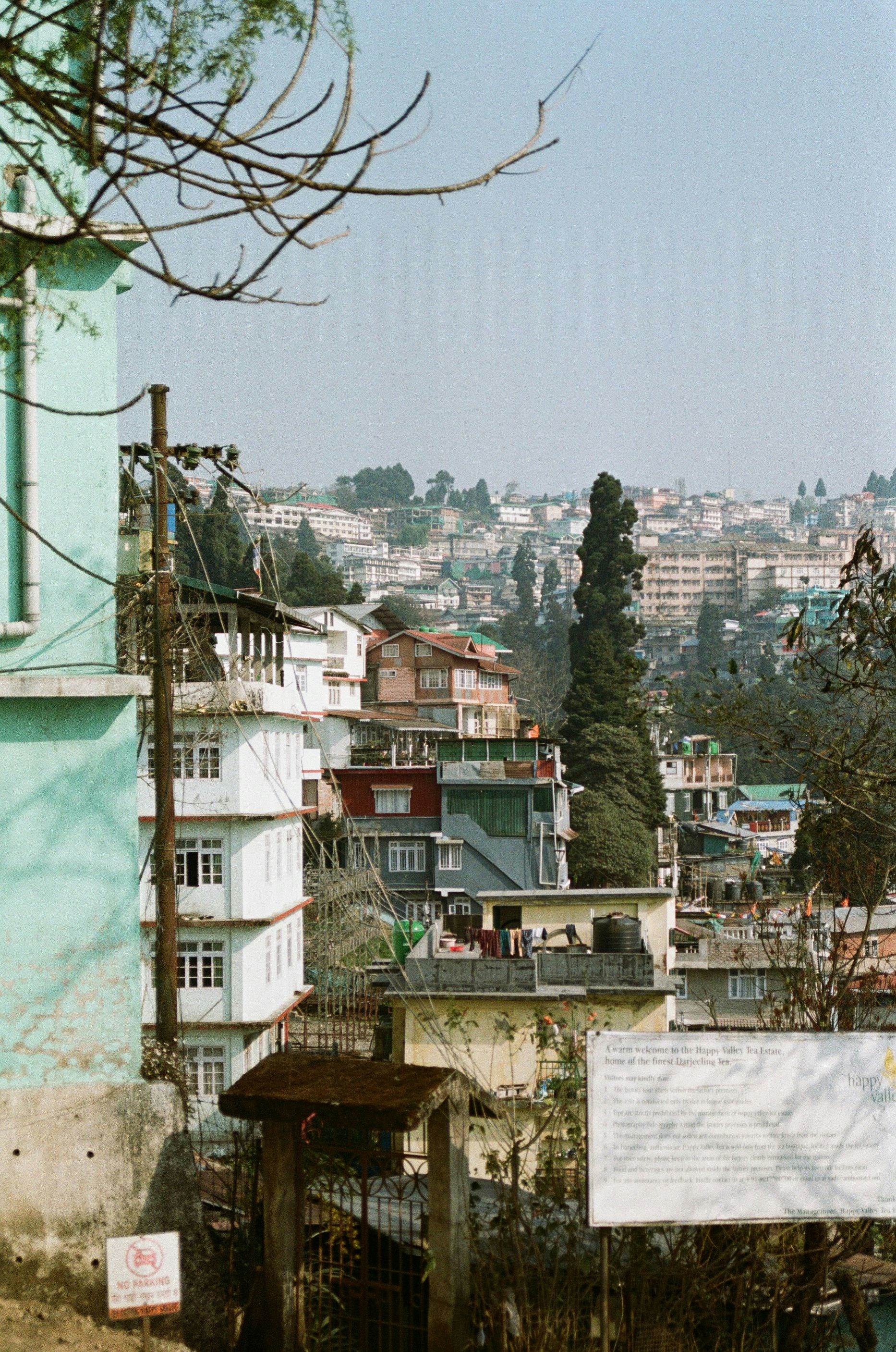 Photo by babikacharava