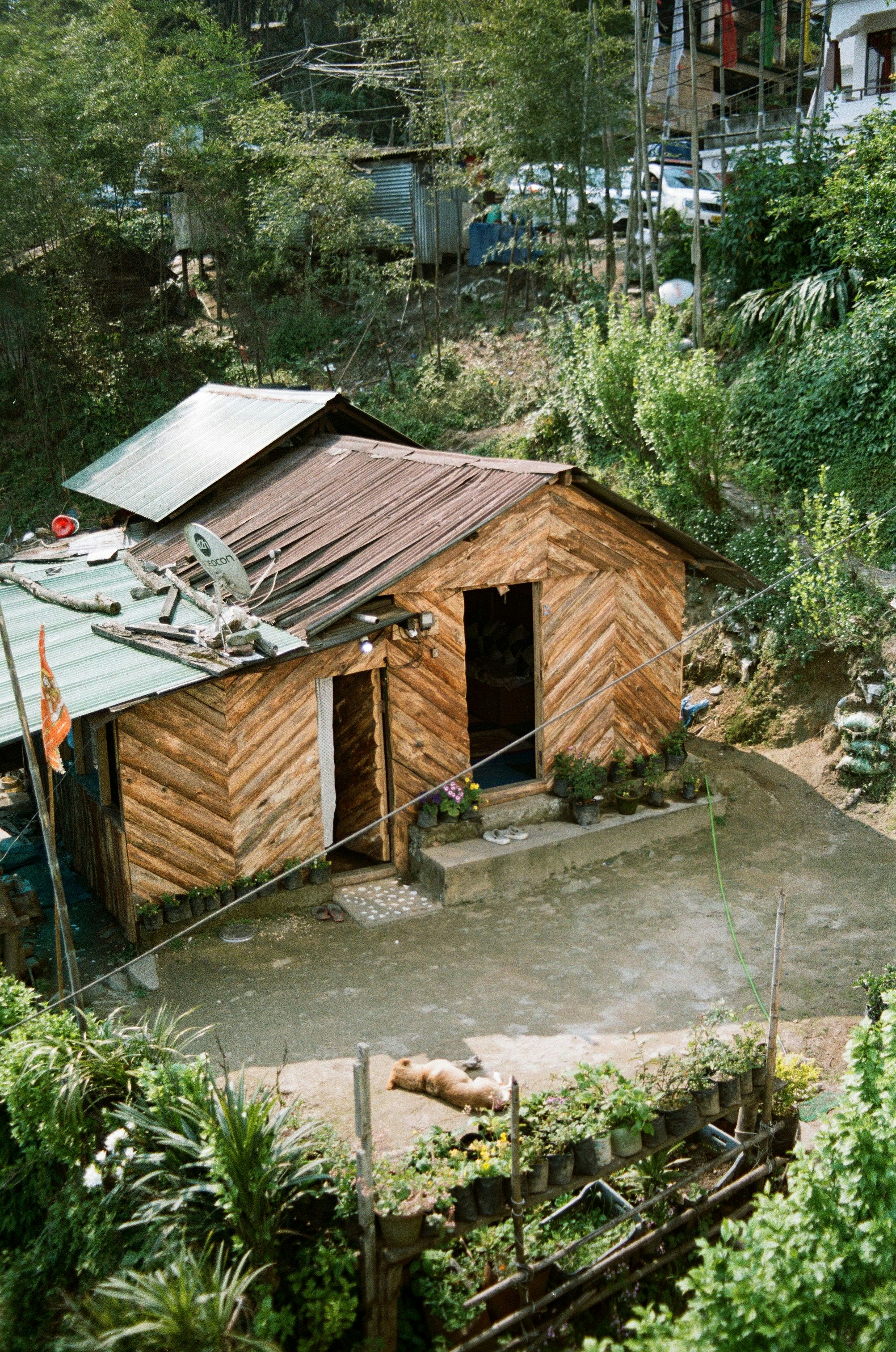 Photo by babikacharava