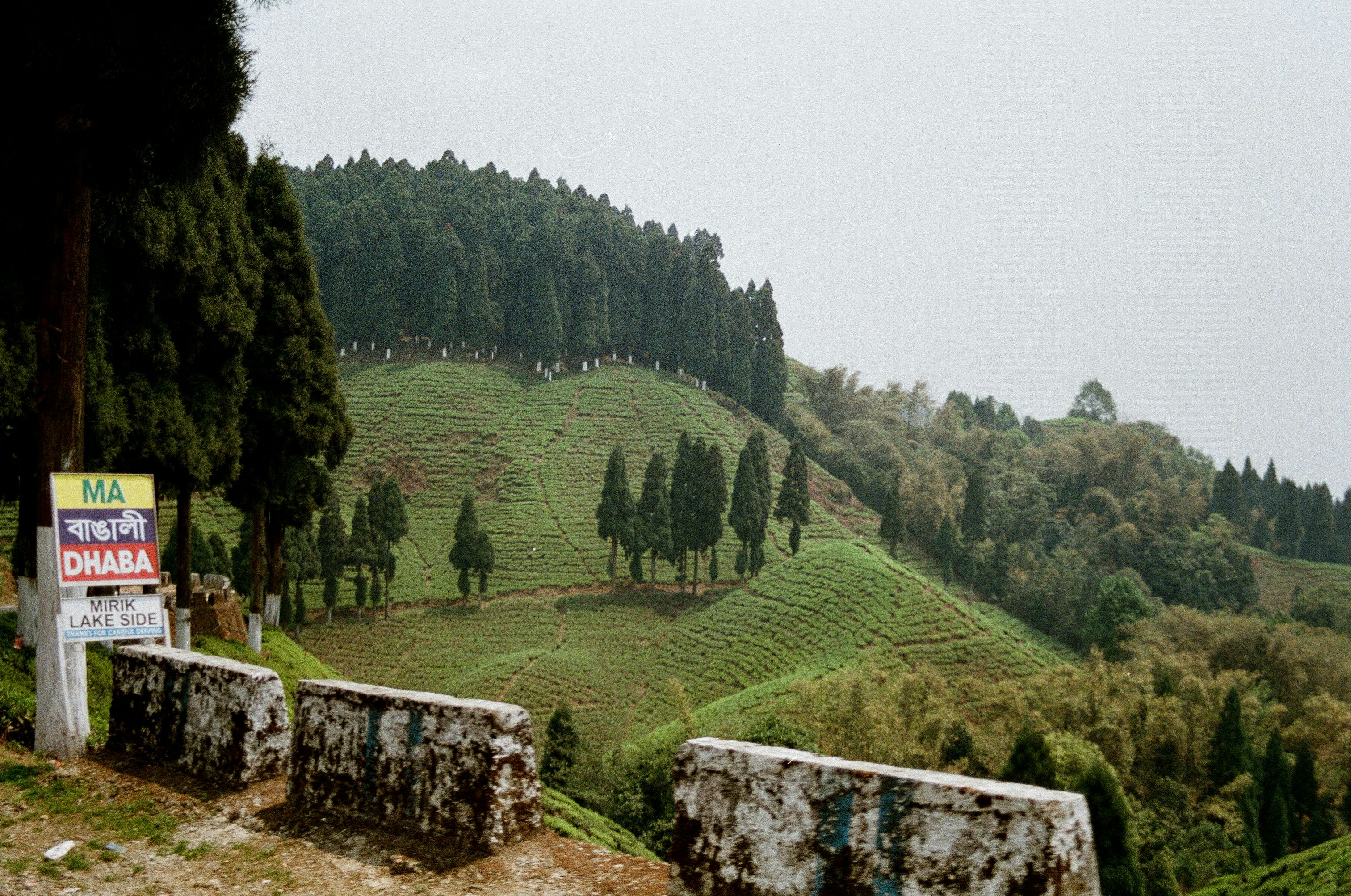 Photo by babikacharava