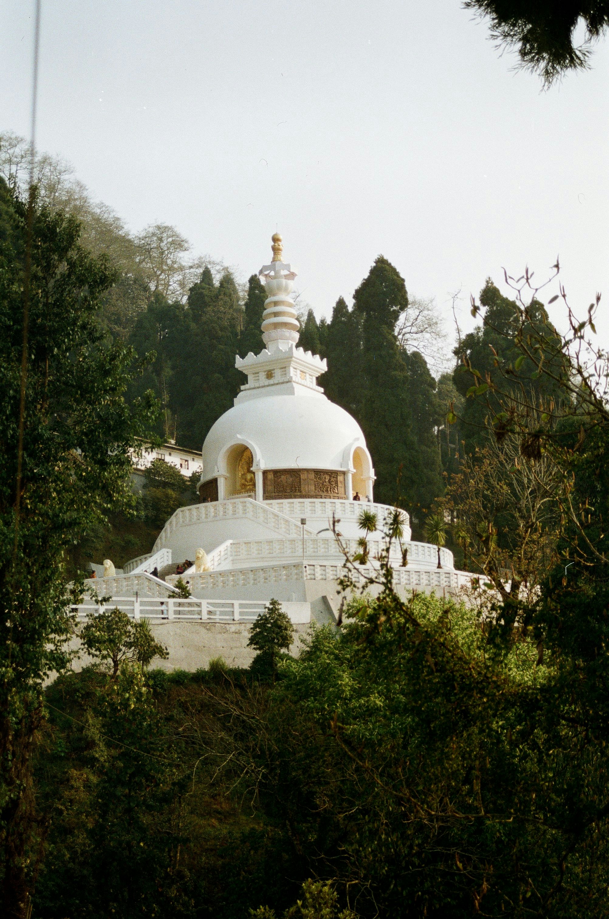 Photo by babikacharava
