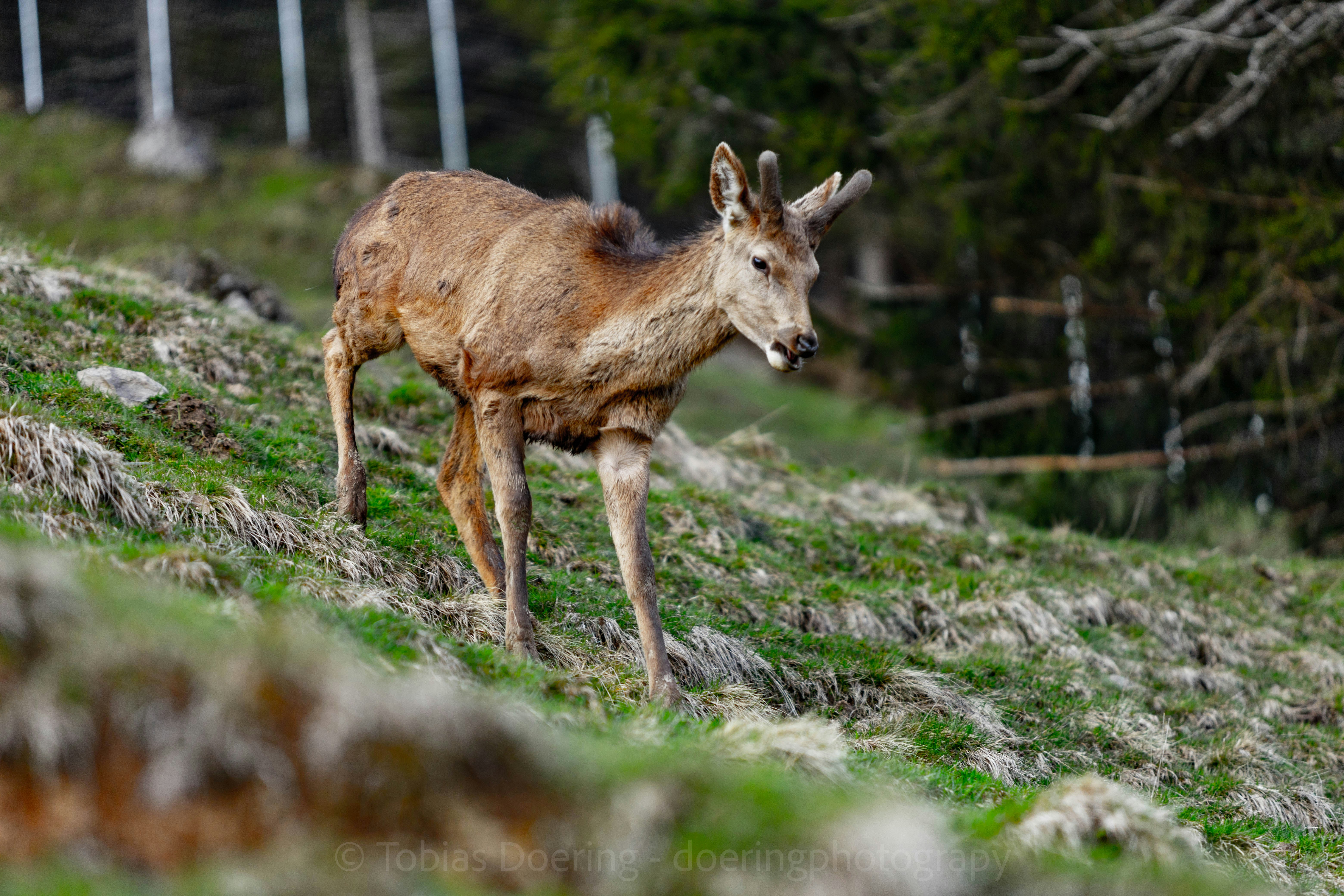 Photo by doeringphotograpy