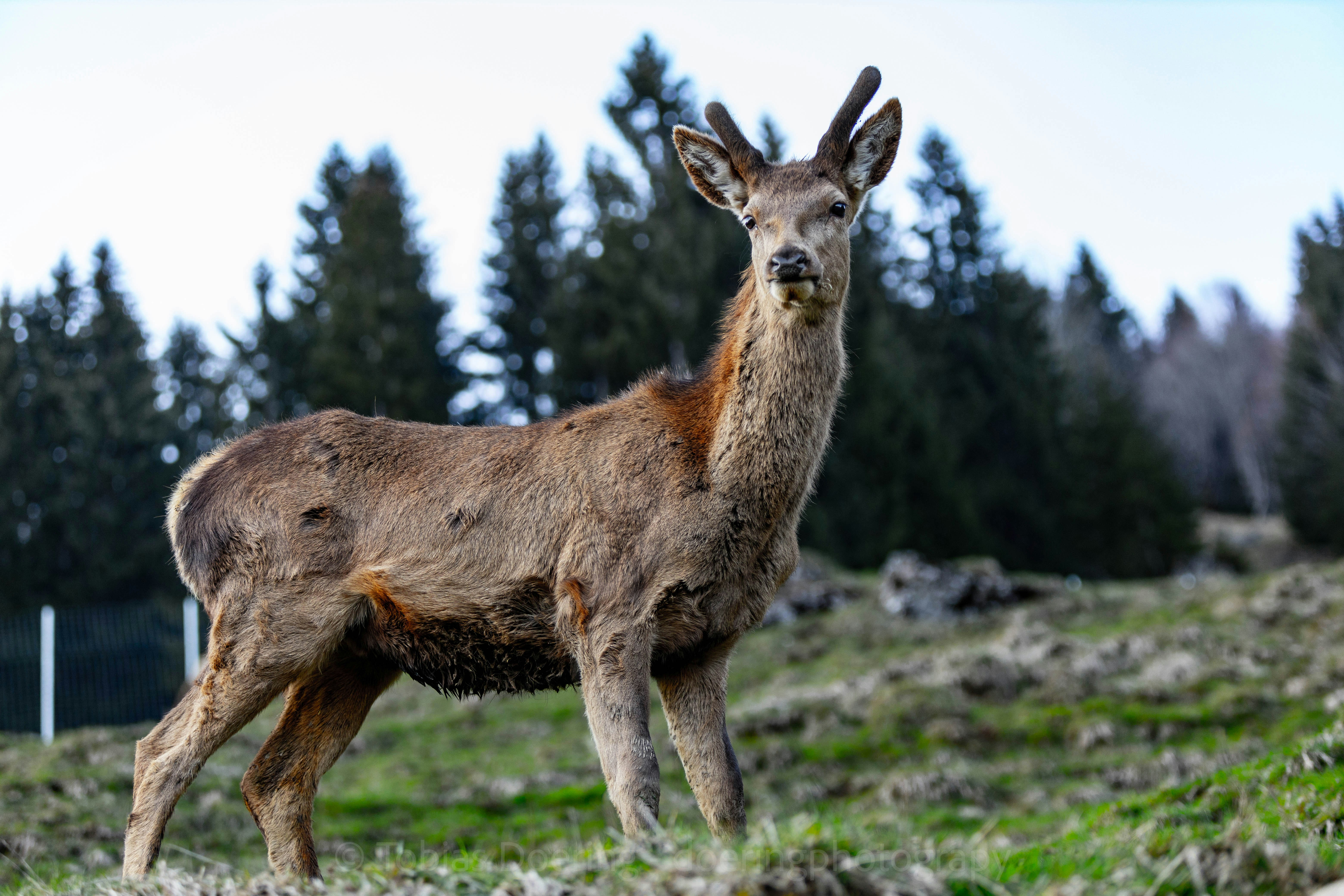 Photo by doeringphotograpy