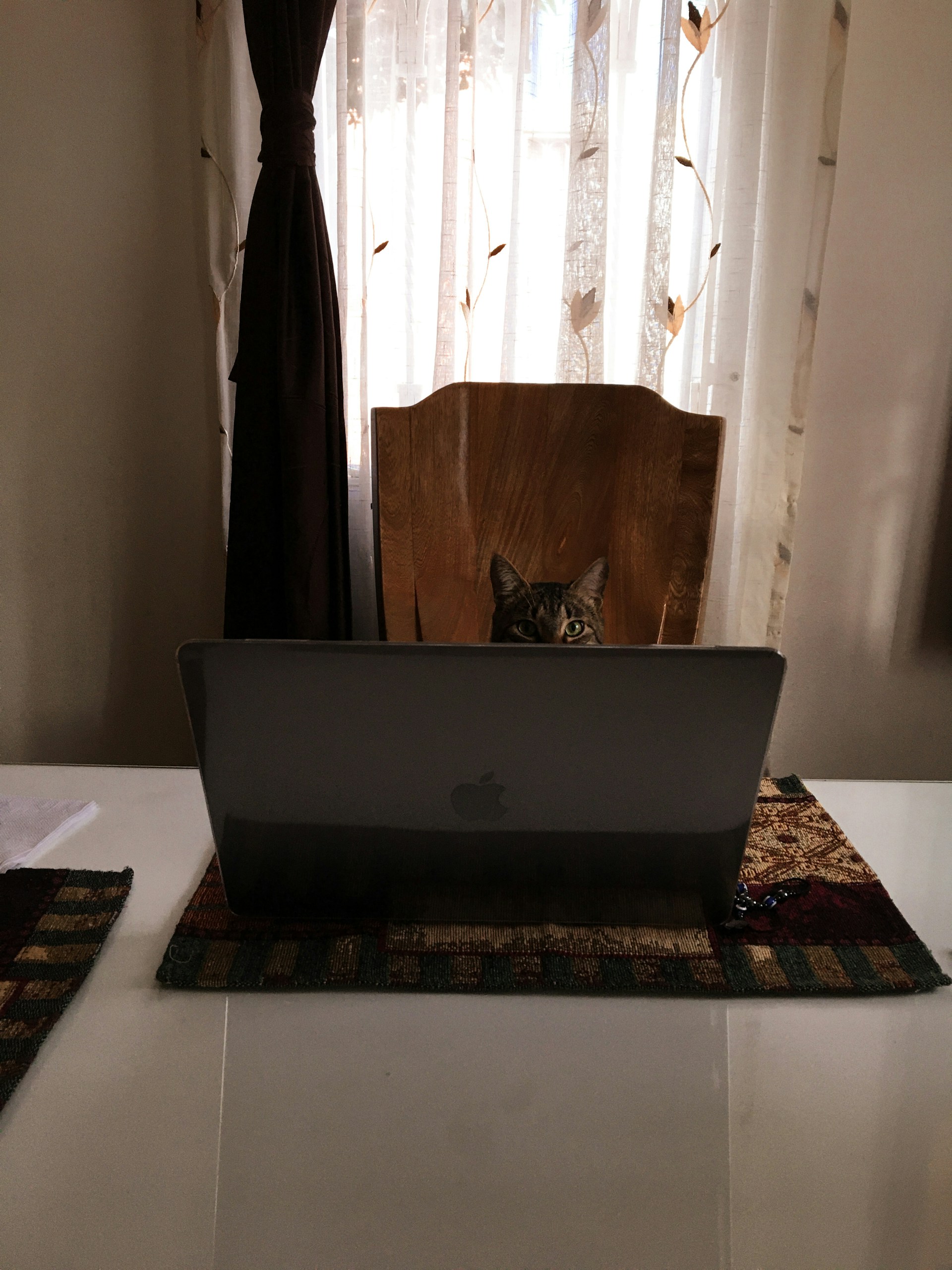 gray computer monitor