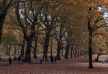 Pessoas caminhando em parque urbano suíço durante o outono.
