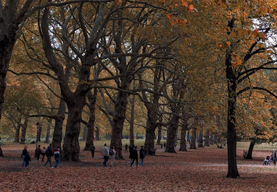 Pessoas caminhando em parque urbano suíço durante o outono.