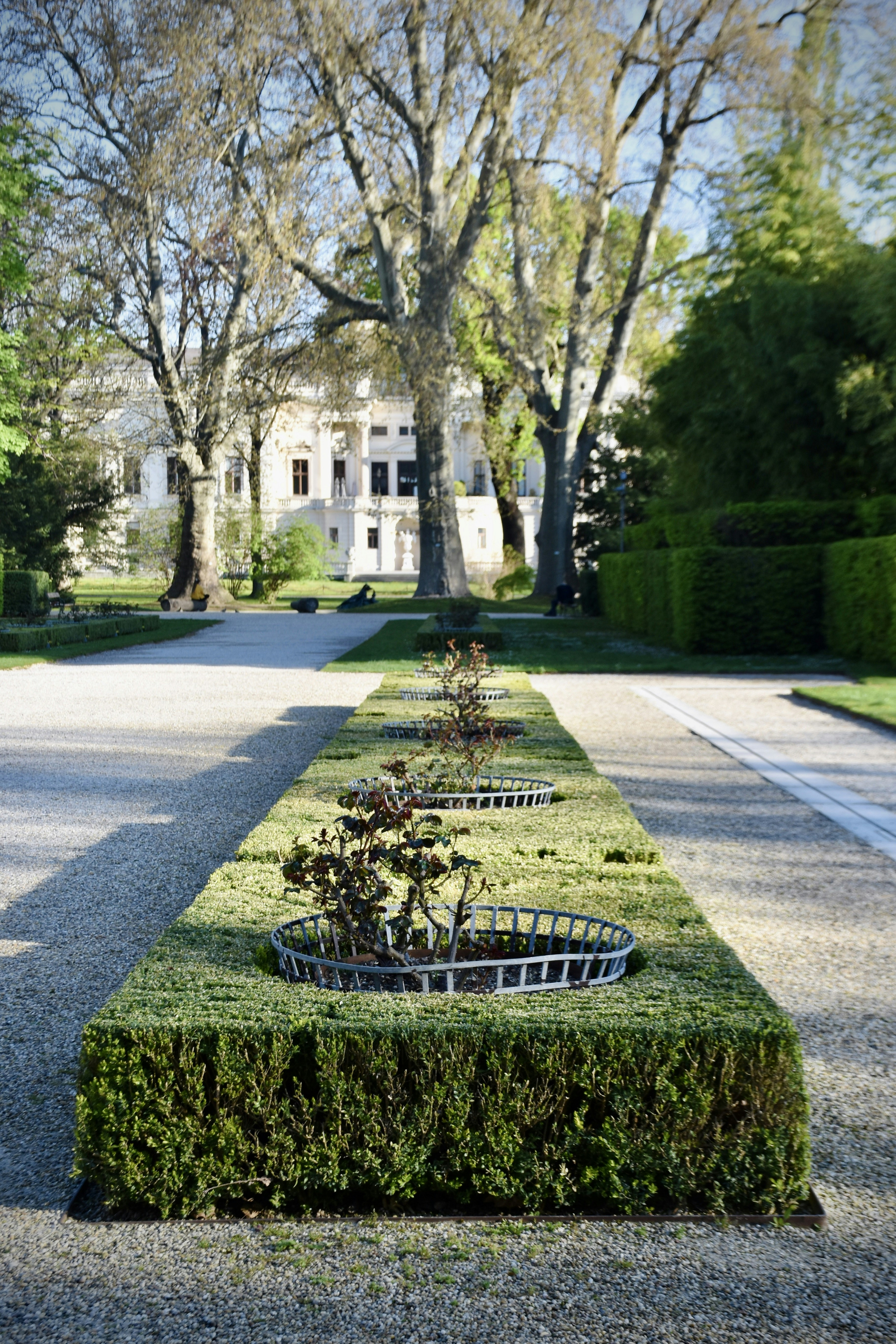 Professional Garden Maintenance: Keeping Your Green Space Thriving