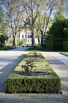 A well-maintained garden features manicured hedges with evenly spaced metal plant baskets containing small bushes. The pathway is bordered by large, mature trees that arch over the scene, leading the eye towards a grand building in the background.