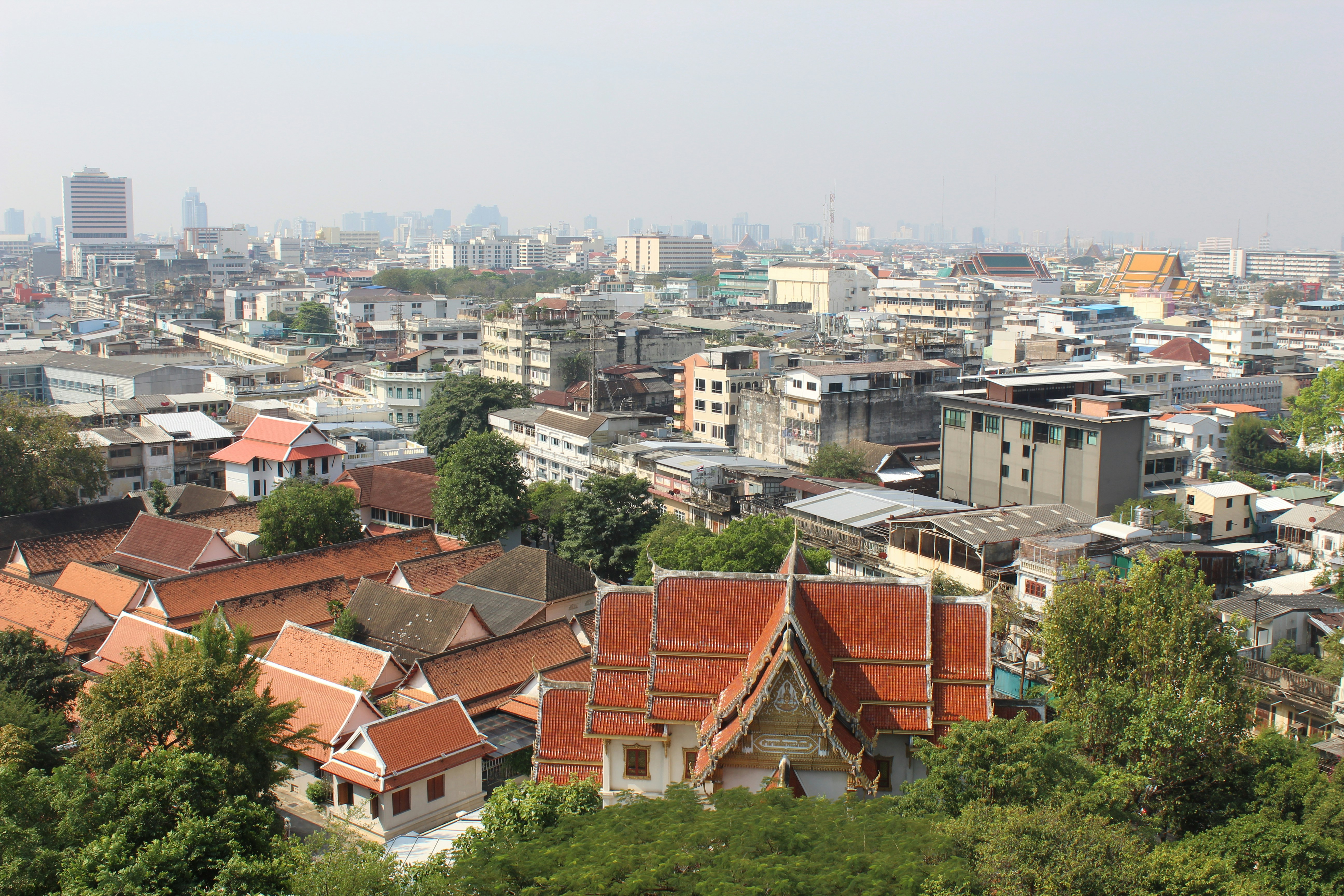 a view of a city with a lot of tall buildings, 