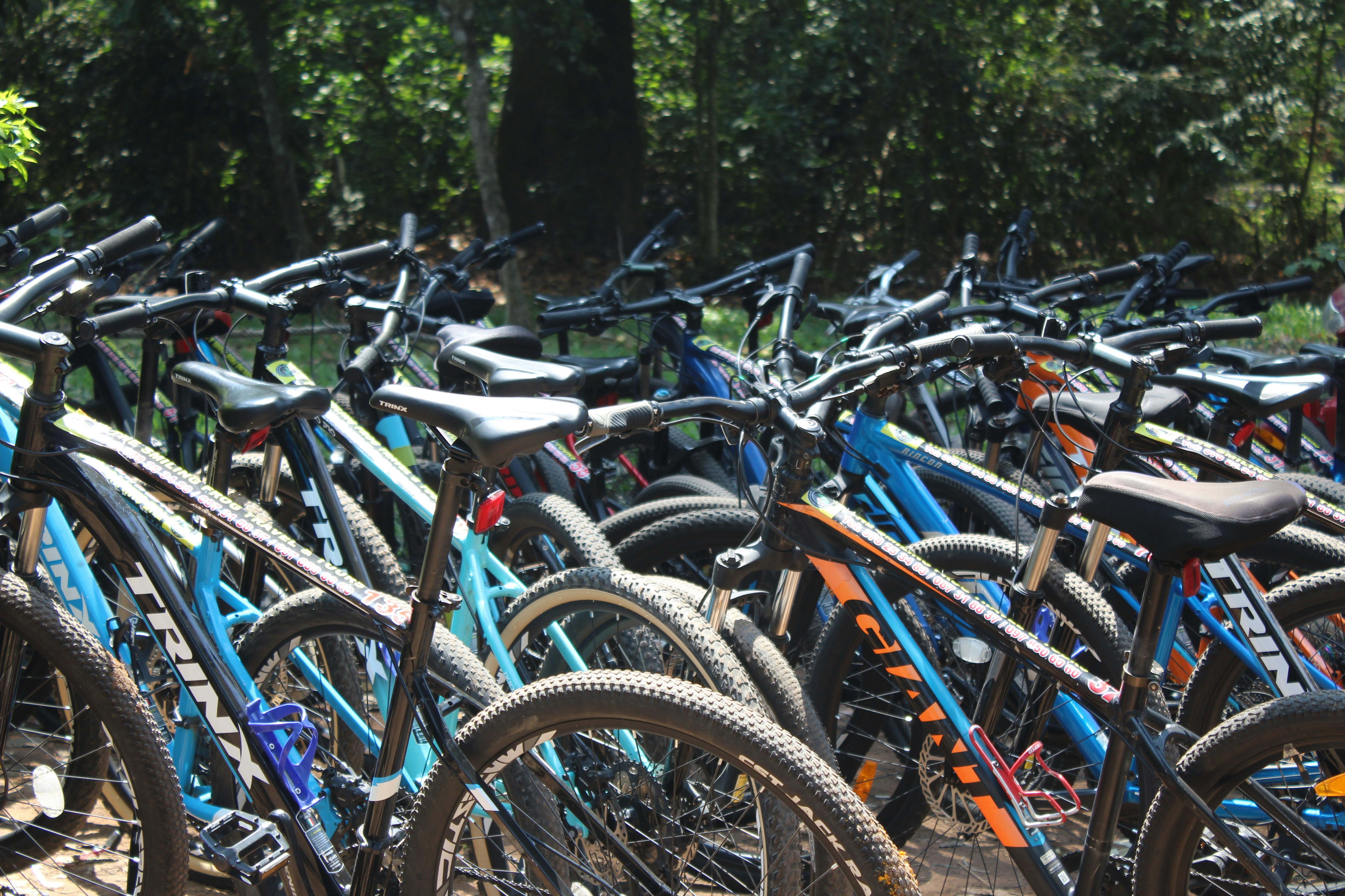 A bunch of bikes that are parked together photo Free Siem reap Image