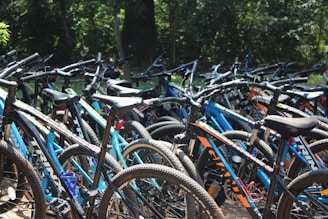 A group of mountain bikes is closely packed together, featuring various colors such as blue and orange. The bicycles are aligned in rows, creating a dense arrangement. The setting appears to be an outdoor area with lush green trees in the background and sunlight casting shadows on the ground.