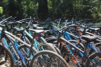 A group of mountain bikes is closely packed together, featuring various colors such as blue and orange. The bicycles are aligned in rows, creating a dense arrangement. The setting appears to be an outdoor area with lush green trees in the background and sunlight casting shadows on the ground.
