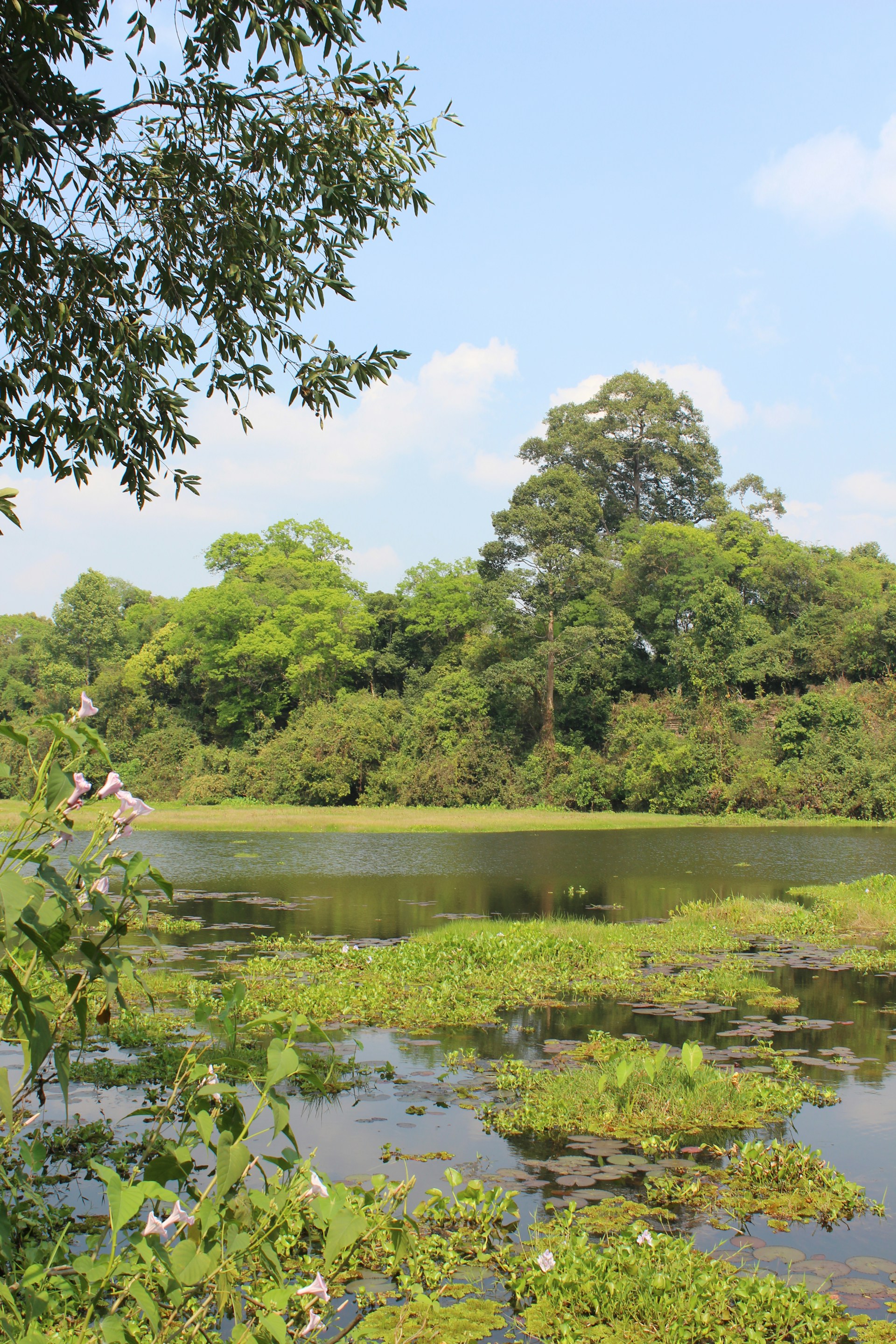 A serene landscape featuring a tranquil lake surrounded by lush greenery and vibrant flowers, symbolizing peace and healing.