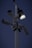 Several security cameras are mounted on a tall pole, with a bright light fixture attached nearby. The background is a dark evening sky.