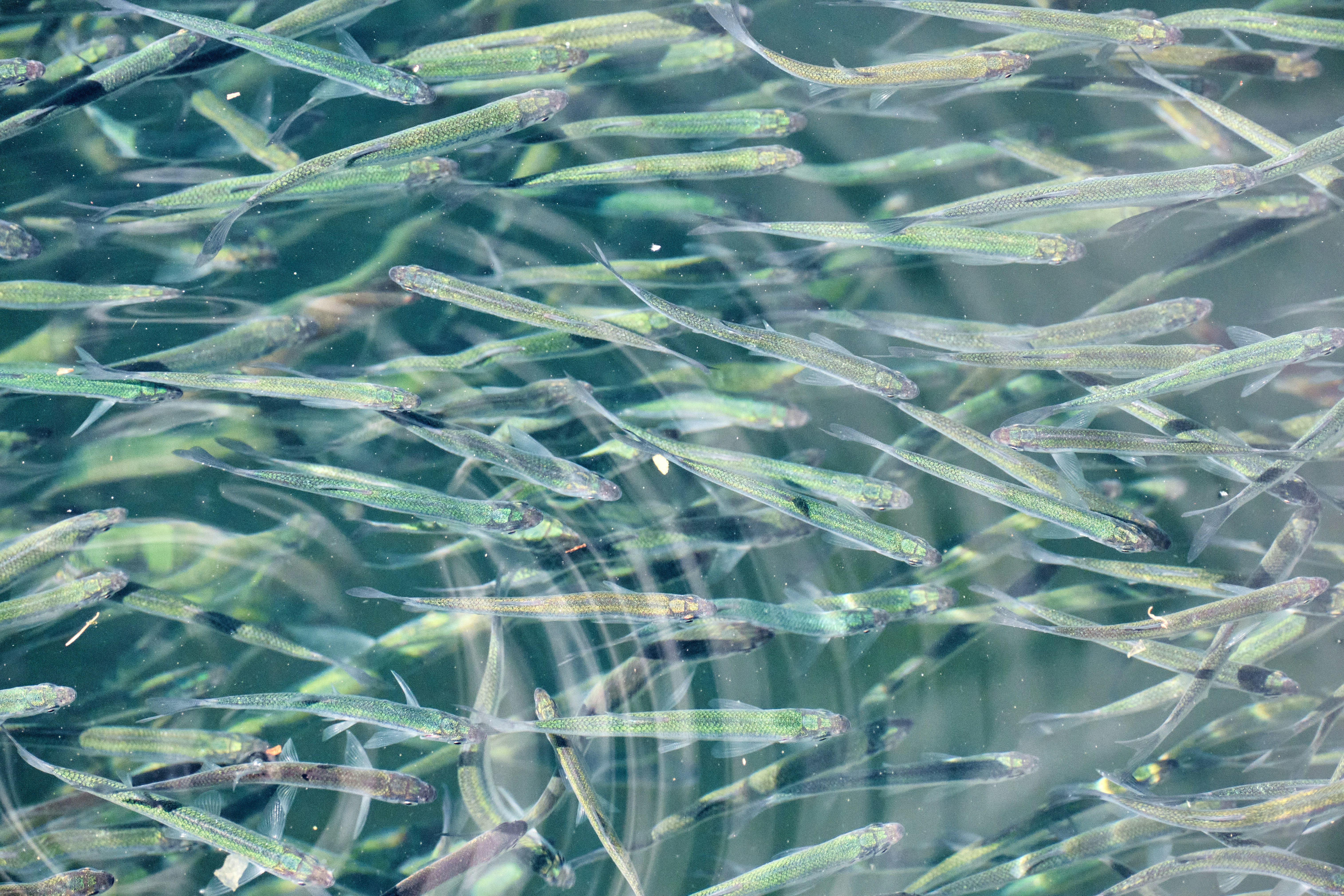 Photo by marcus_ganahl