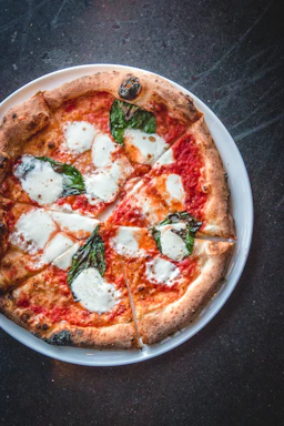 A rustic wood-fired pizza topped with fresh basil and melted mozzarella on a terracotta plate.